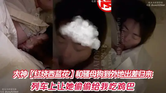 大神【红烧西蓝花】和骚母狗到外地出差归来